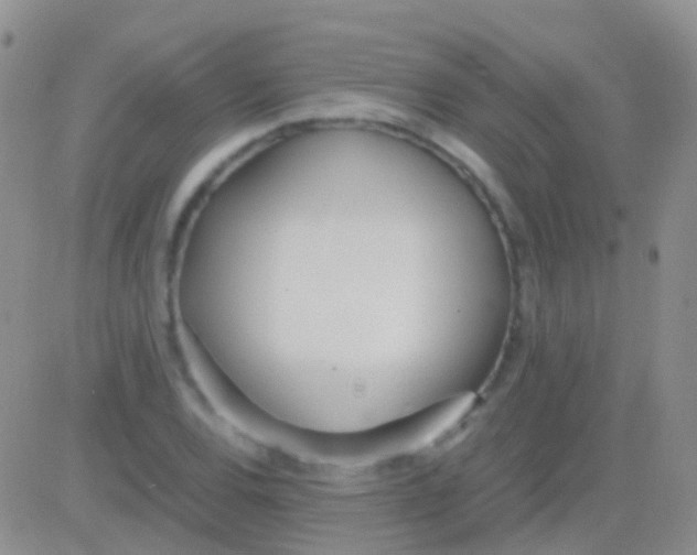 X0000083061120200702232014