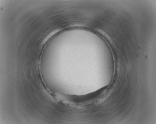 X0000083061121200702232014