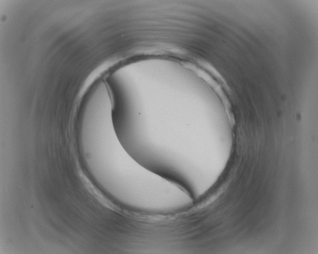 X0000083061122200702232014