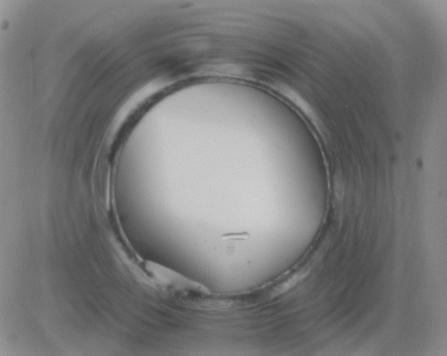 X0000083061123200702232014