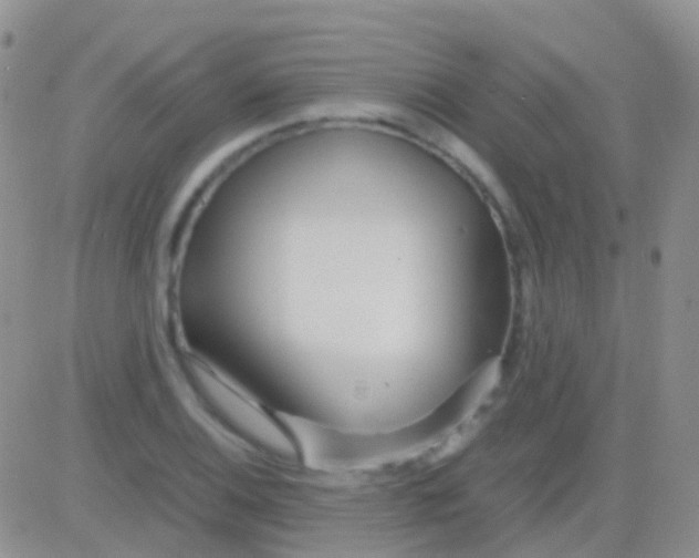 X0000083061124200702232014