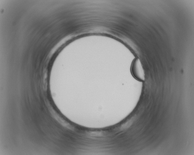 X0000083061126200702232014