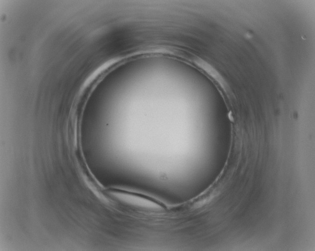 X0000083061127200702232014