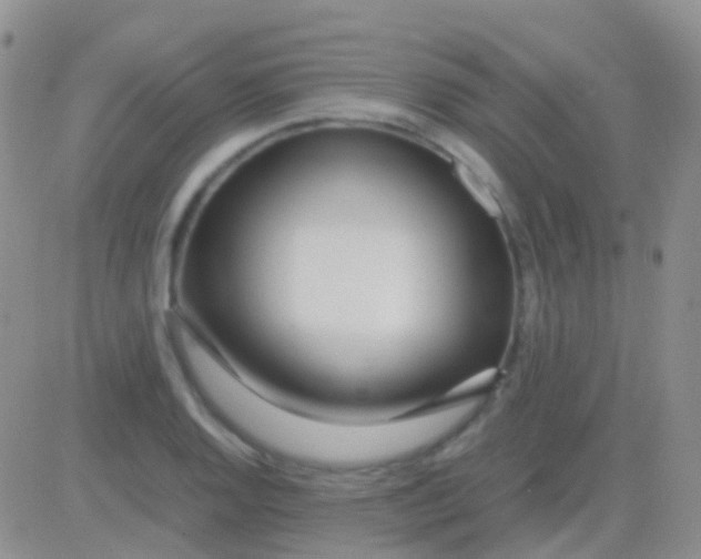 X0000083061128200702232014