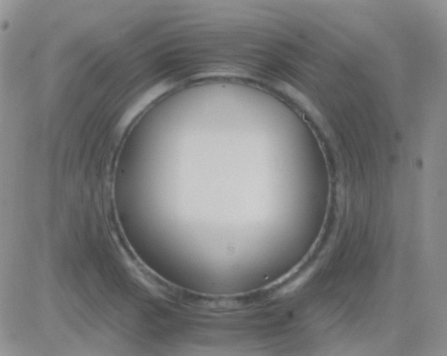 X0000083061129200702232014