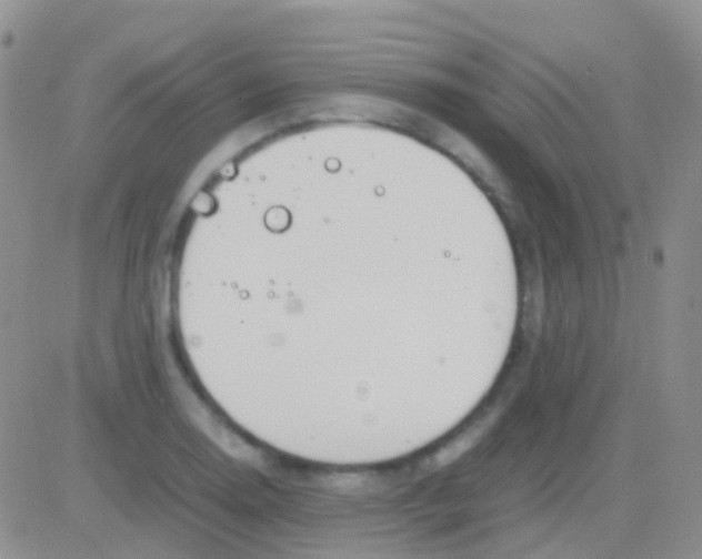 X0000083061130200702232014