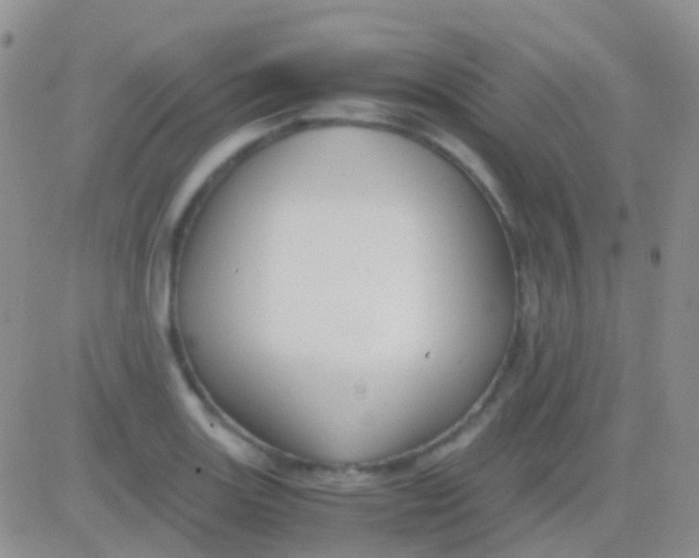 X0000083061131200702232014