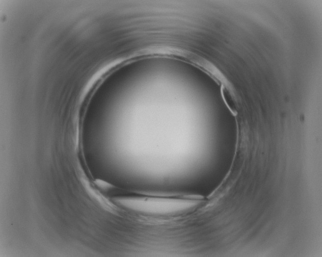 X0000083061132200702232014