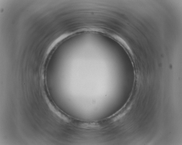 X0000083061133200702232014