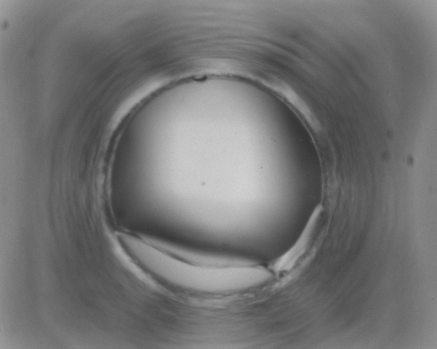 X0000083061134200702232014