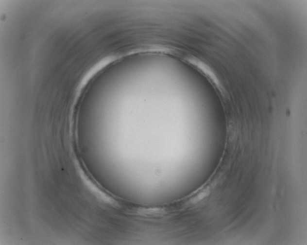 X0000083061135200702232014