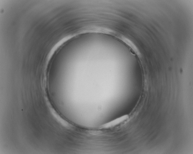 X0000083061136200702232014