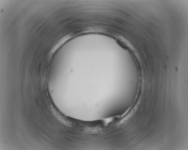 X0000083061137200702232014