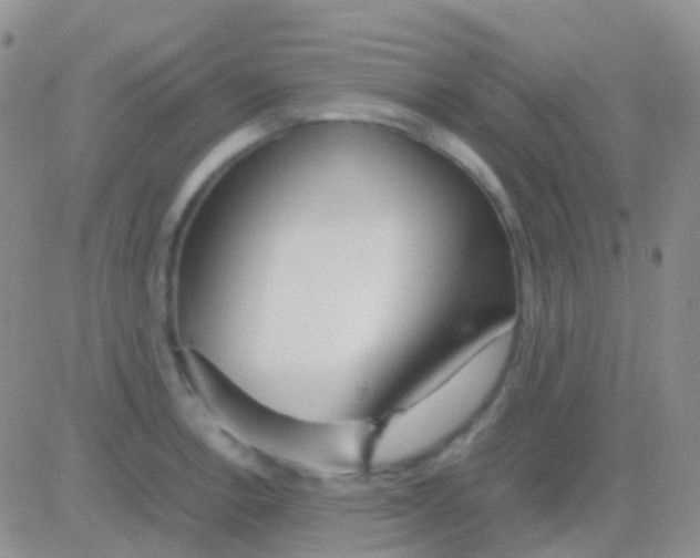 X0000083061138200702232014