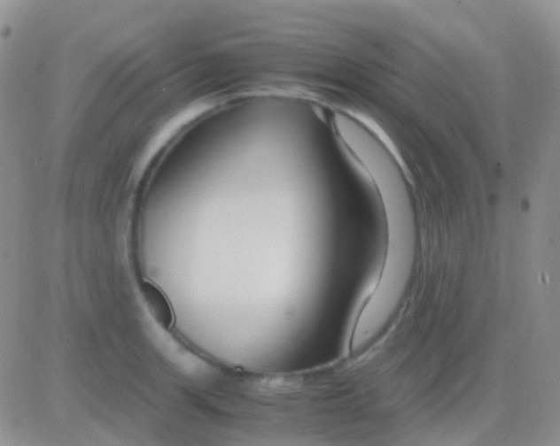 X0000083061139200702232014