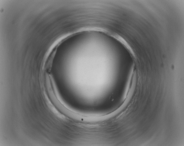 X0000083061140200702232014