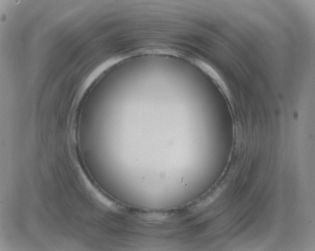 X0000083061141200702232014