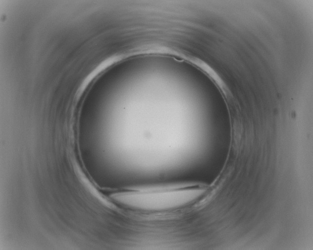 X0000083061142200702232014