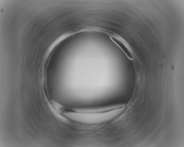 X0000083061143200702232014