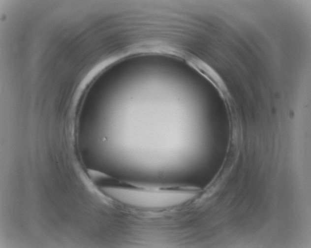 X0000083061144200702232014