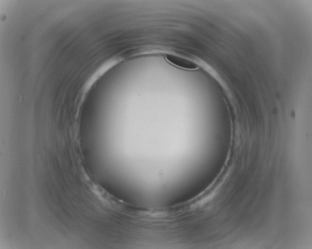 X0000083061145200702232014