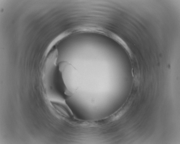 X0000083061146200702232014