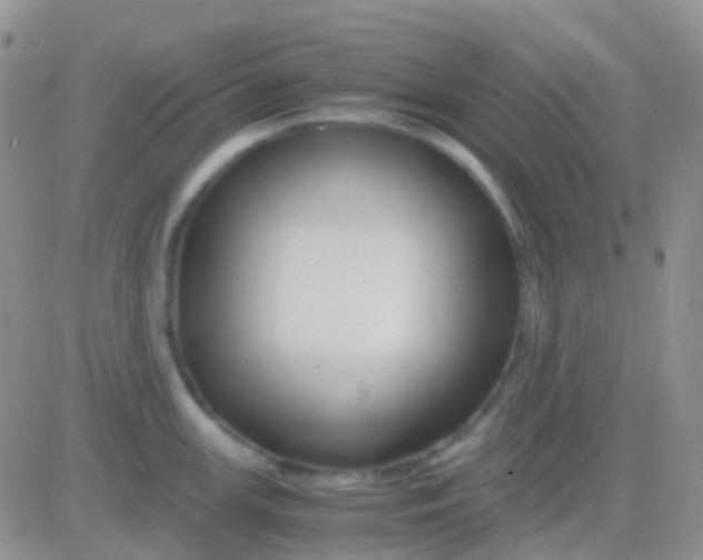 X0000083061147200702232014