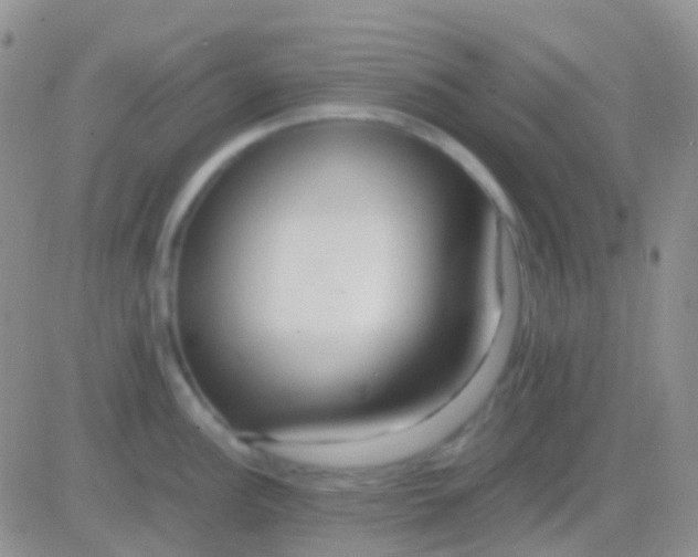 X0000083061148200702232015