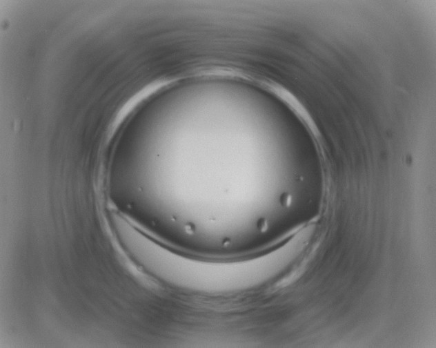 X0000083061149200702232015