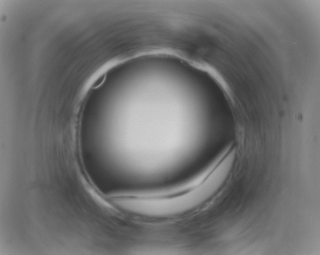 X0000083061151200702232015