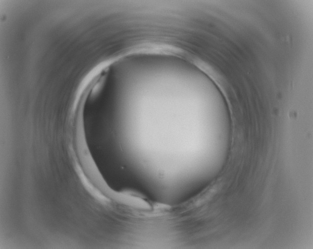 X0000083061152200702232015