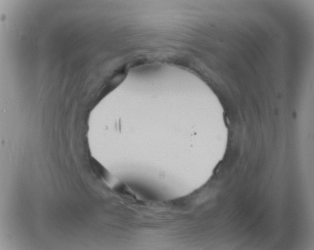 X0000083061153200702232014