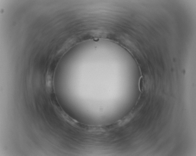 X0000083061154200702232014