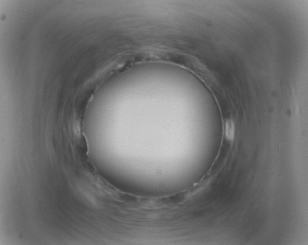 X0000083061155200702232014