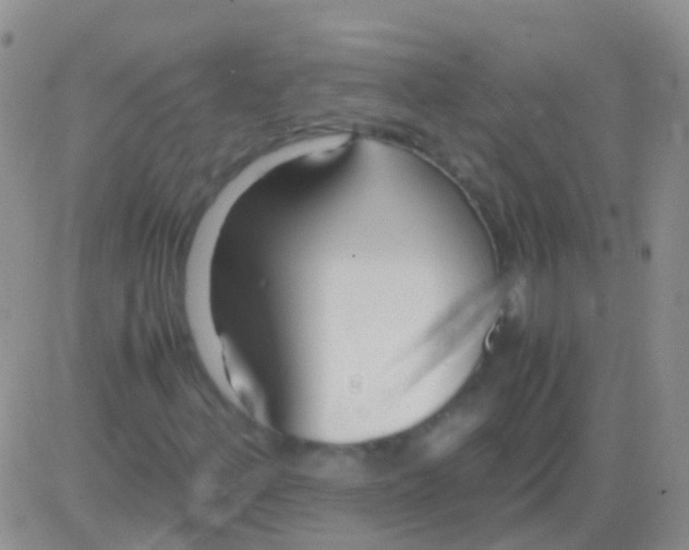 X0000083061156200702232014