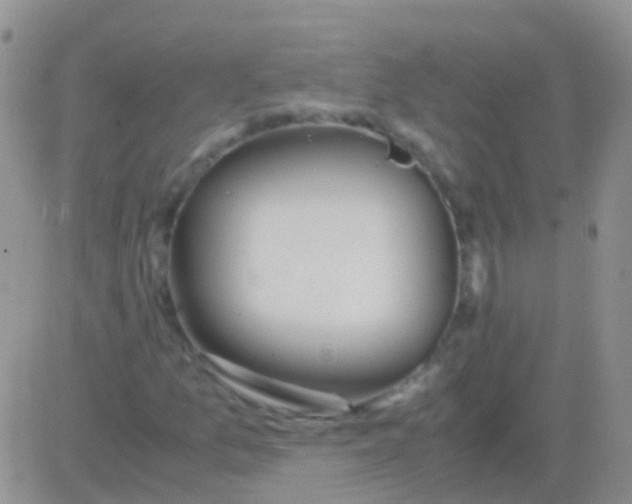 X0000083061157200702232014