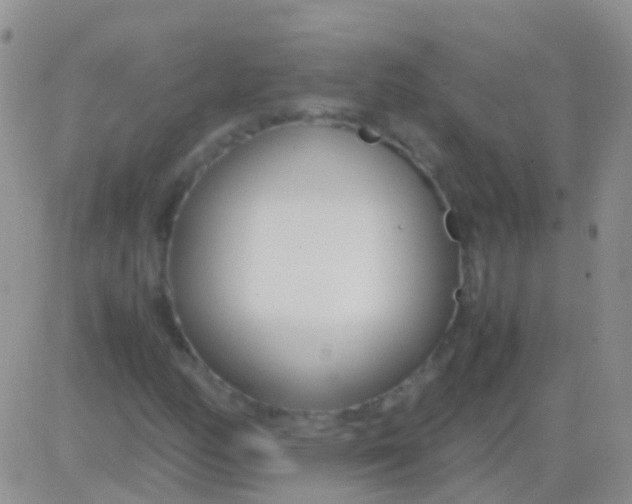 X0000083061158200702232014