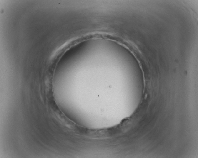 X0000083061159200702232014