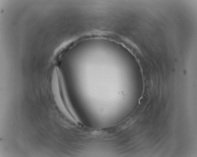 X0000083061160200702232014