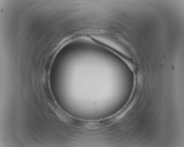 X0000083061161200702232014