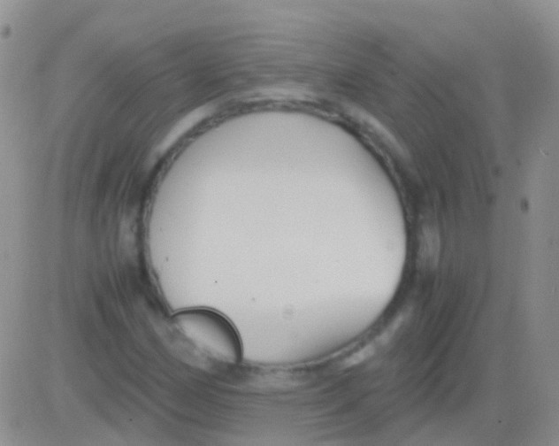 X0000083061162200702232014