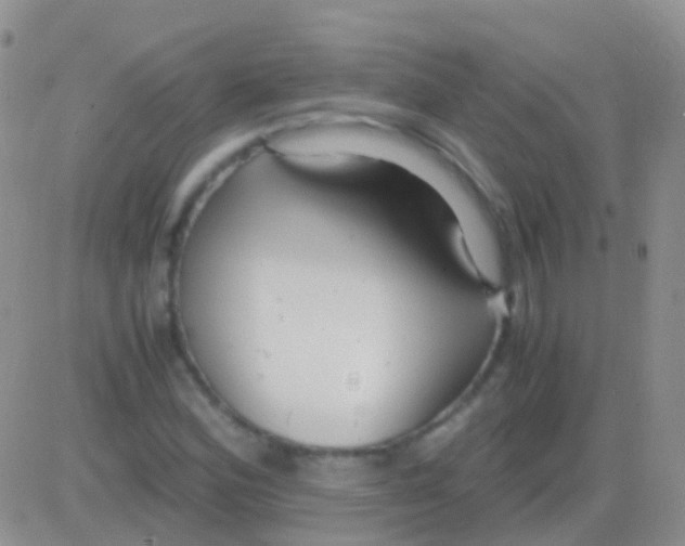 X0000083061164200702232014