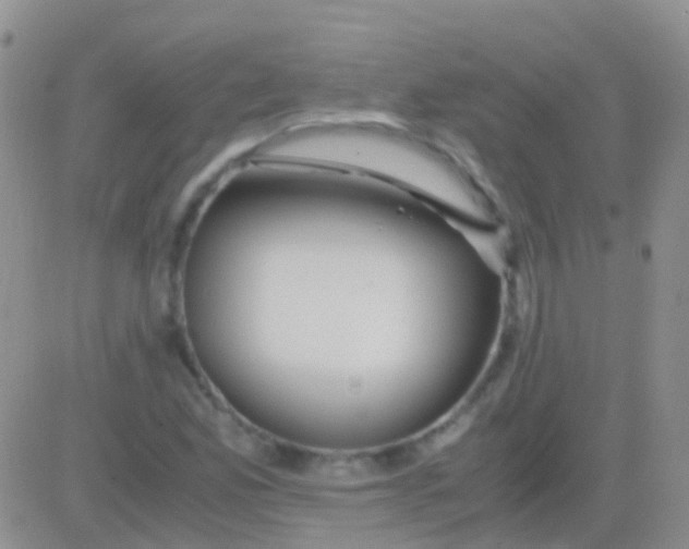 X0000083061165200702232014