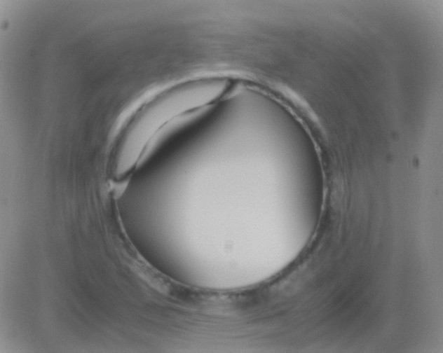 X0000083061167200702232014