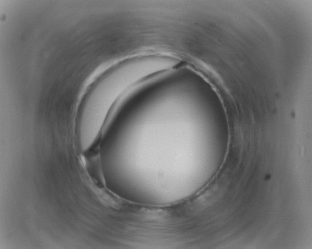 X0000083061168200702232014