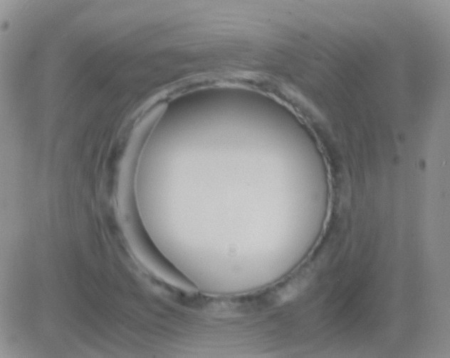 X0000083061169200702232014