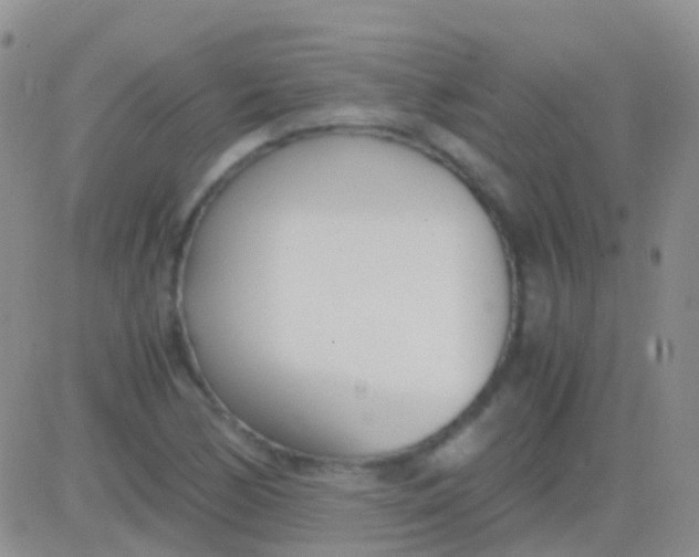 X0000083061170200702232013