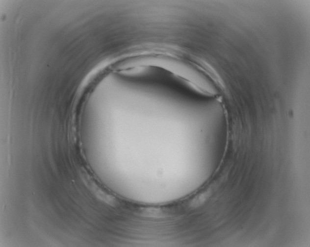 X0000083061172200702232013