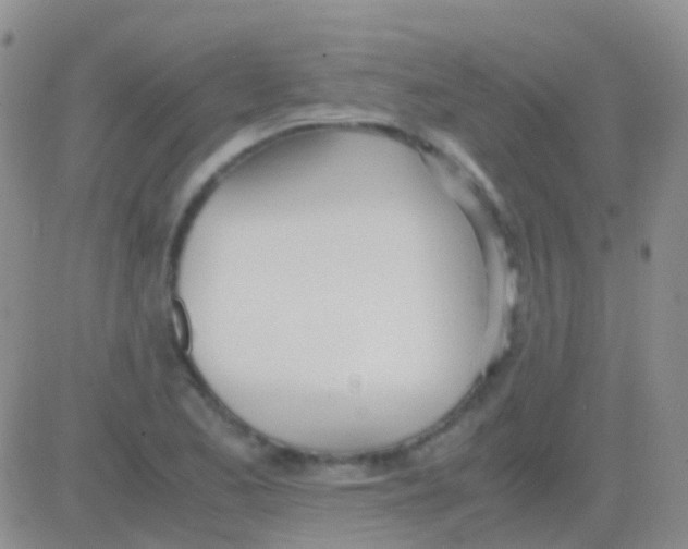 X0000083061173200702232013