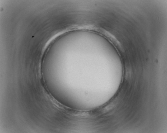 X0000083061174200702232013